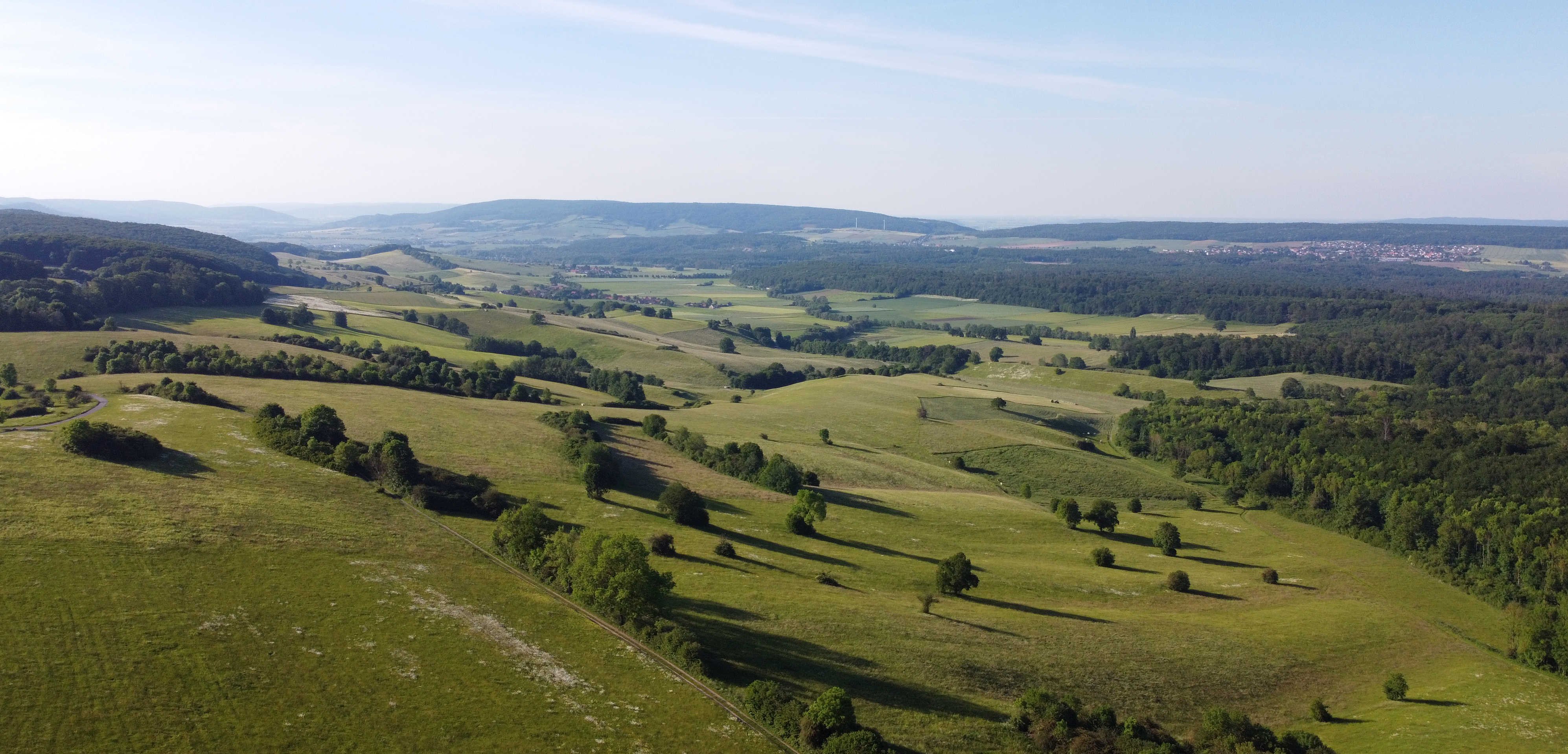 DJI_0296